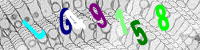 Blue Captcha Image